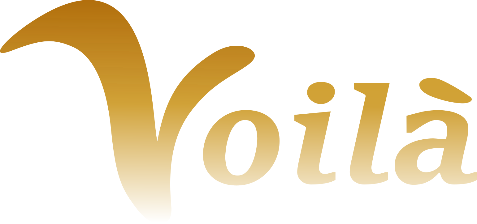 Taneční škola Voila Praha
